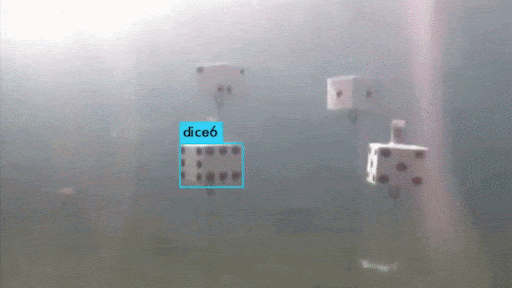 YOLO algorithm labeling multiple large dice detected in murky water